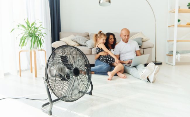 Fan